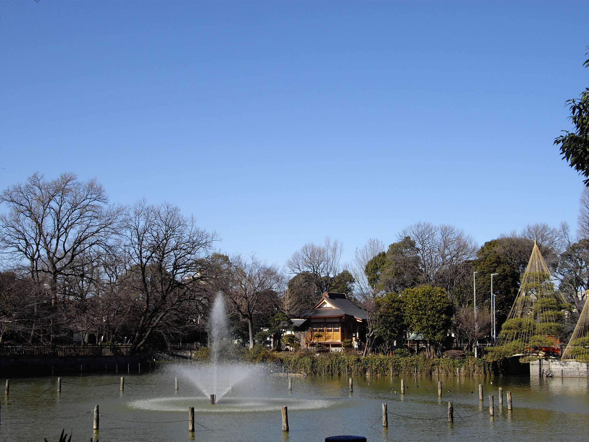碑文谷公園の弁天池。水面の向こうの中之島に社が見える