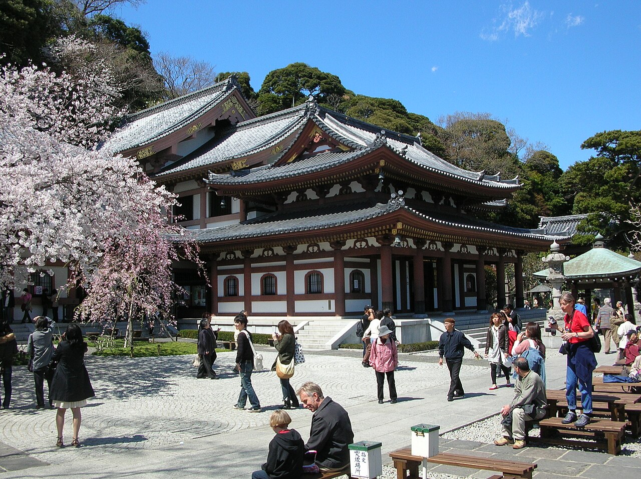 丘の斜面を背に建つ長谷寺の観音堂