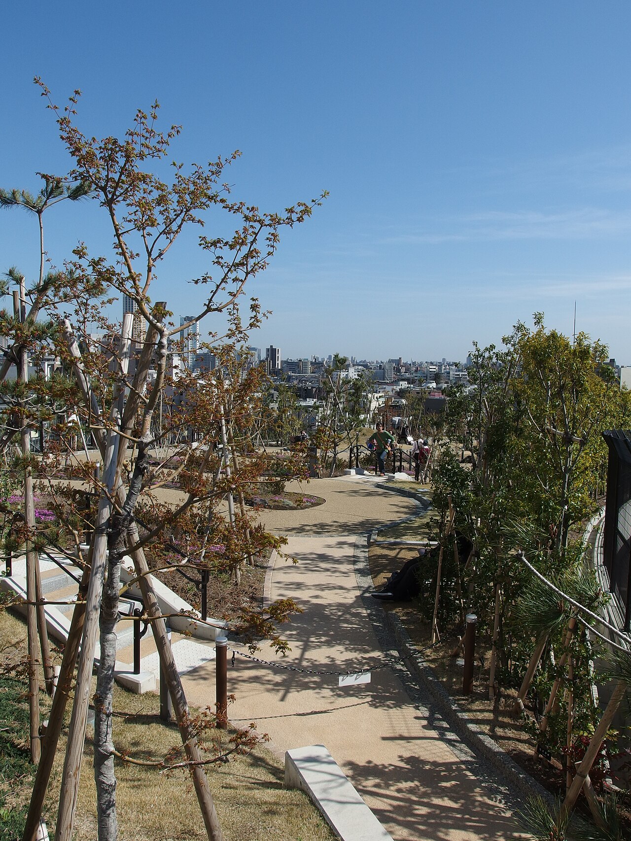 目黒天空庭園の園路、植栽、周辺の街並みを見下ろす眺め。