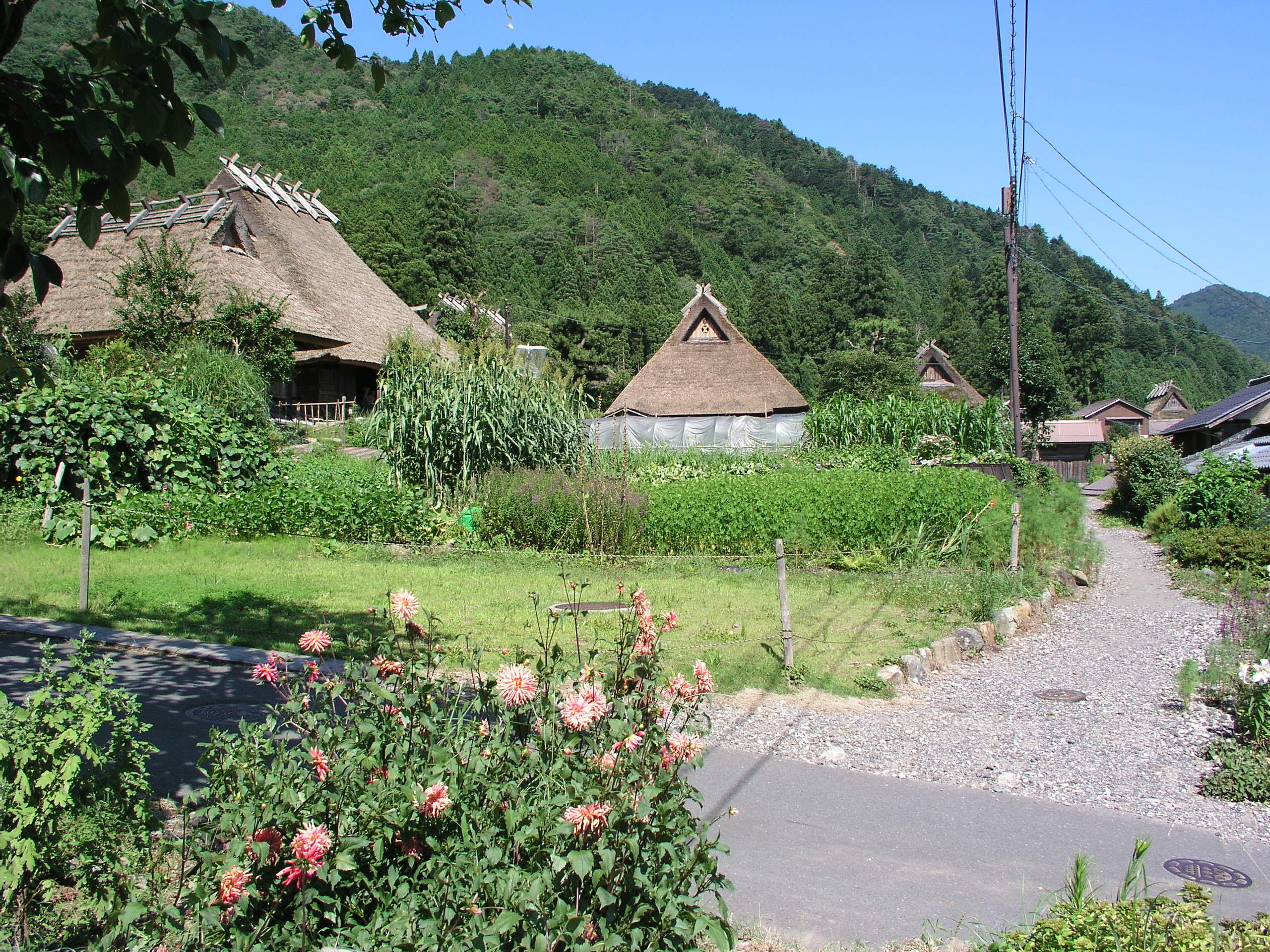 美山町北の民家に接する畑と道