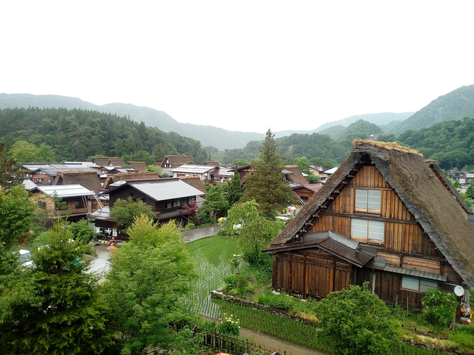 田の向こうに茅葺きや金属屋根の建物が並ぶ荻町