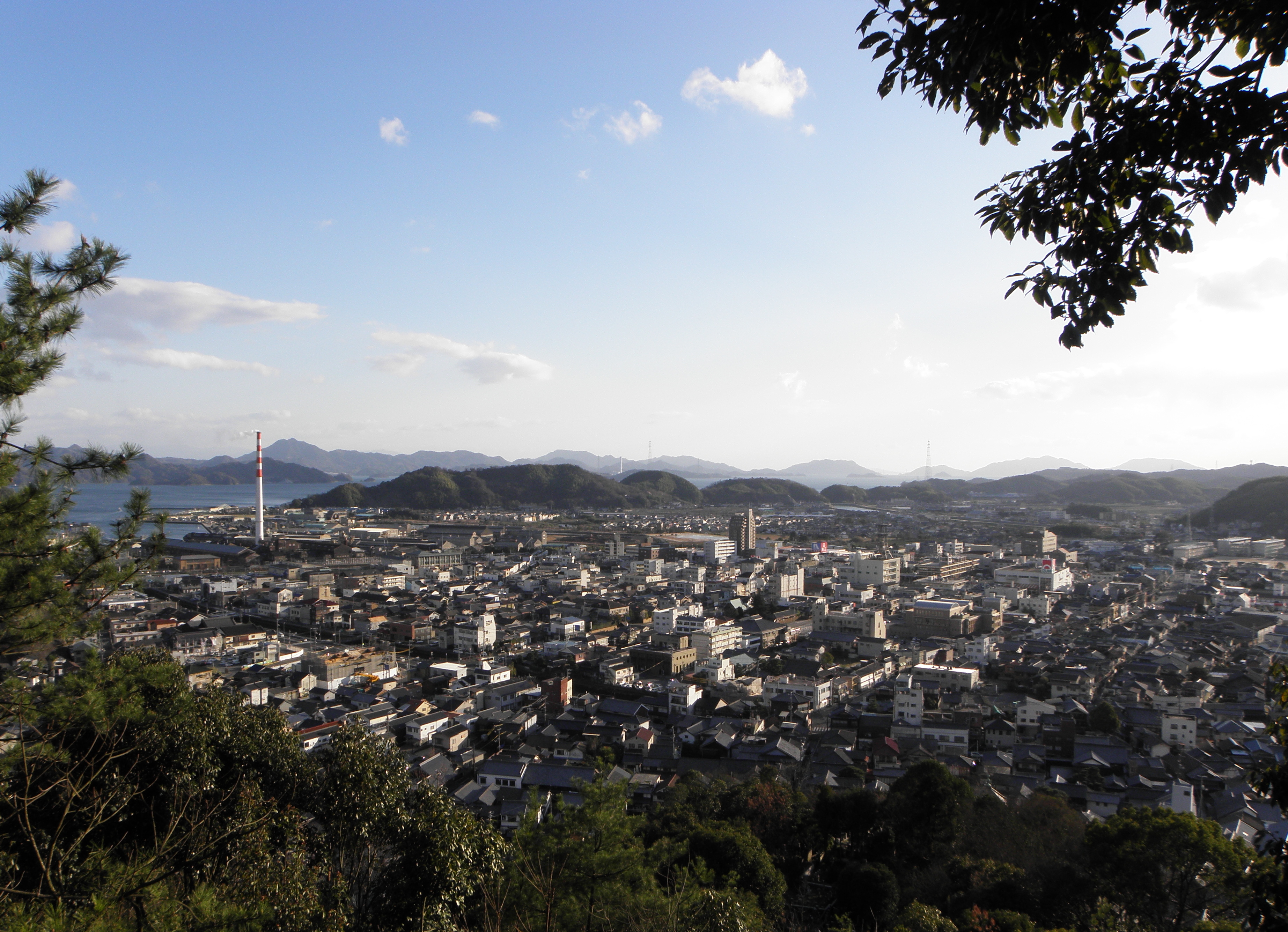 東側から見た竹原の市街地。建物の向こうに海と山が広がる