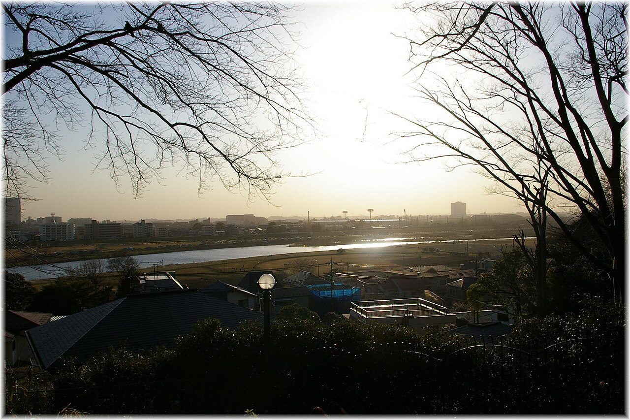 多摩川台公園の丘から望む多摩川と河川敷。枝越しに対岸の建物が見える。