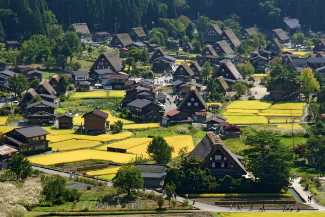 田畑と大小の家が集まる荻町を見下ろした眺め