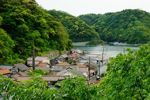 丘陵の間に集まる温泉津の家並みと港